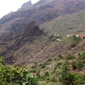  TENERIFE