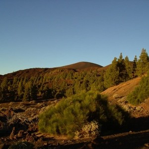  TENERIFE