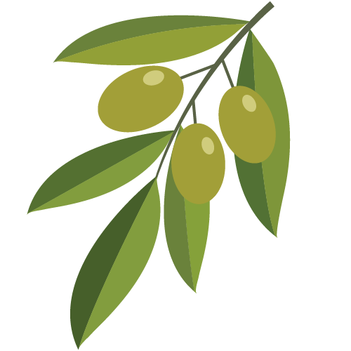 OLIVO